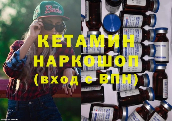 крисы Кулебаки