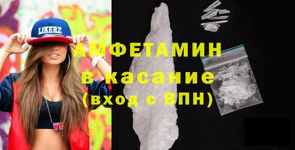 крисы Кулебаки