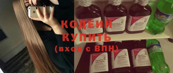 крисы Кулебаки