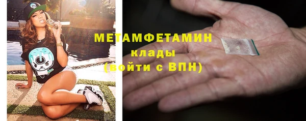 крисы Кулебаки