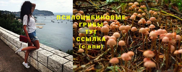 крисы Кулебаки