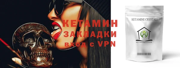 крисы Кулебаки