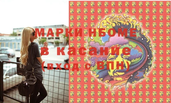 крисы Кулебаки