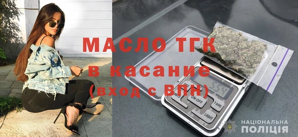 крисы Кулебаки