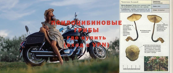 ГАЛЛЮЦИНОГЕННЫЕ ГРИБЫ Киров