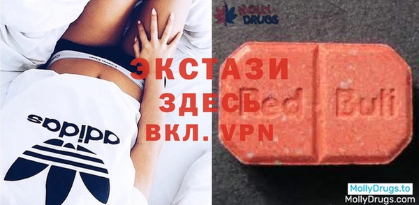 крисы Кулебаки